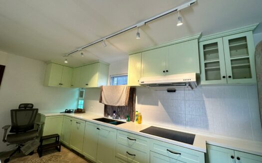 豪裝 新村屋地下連花園出售