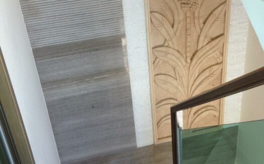 明湖.太和 村屋售賣