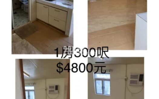 粉嶺小巴總站旁套房出租