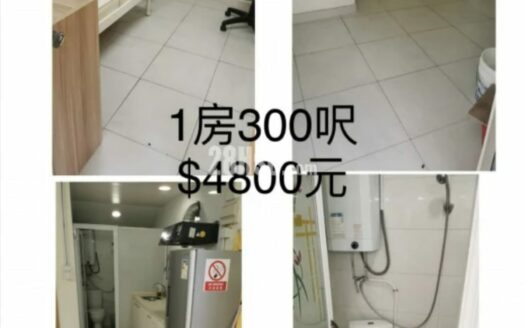 粉嶺小巴總站旁套房出租