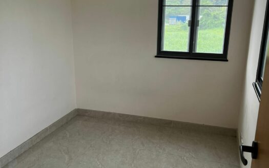 上水松柏塱村屋出租