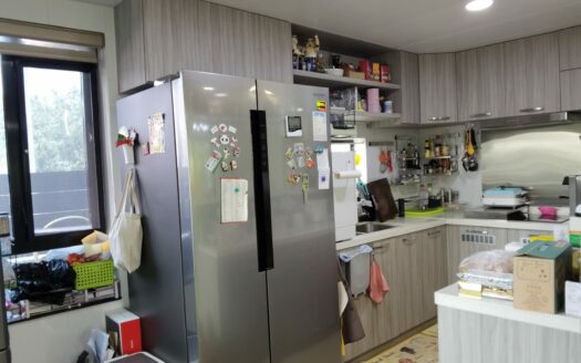 豪裝打鼓嶺地下連花園 28Hour 村屋