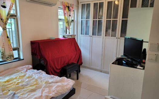 乾淨白雪 粉嶺村屋出售