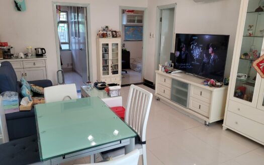 乾淨白雪 粉嶺村屋出售