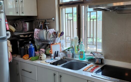 乾淨白雪 粉嶺村屋出售