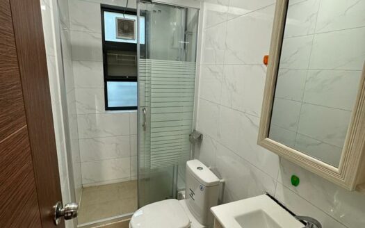 大塘湖村屋出租