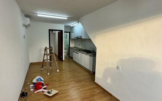 大塘湖村屋出租