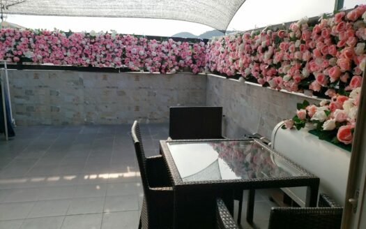 肇軒台1-28house-28hse-村屋-買樓-591-730-售-village