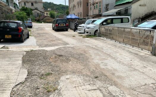 蓮塘口岸 450呎全幢放售