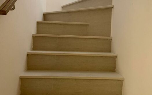 蓮塘口岸 450呎全幢放售