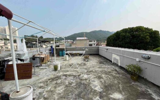 上水-雞嶺 村屋出售