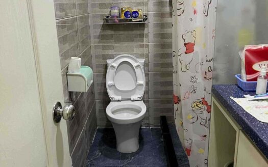 上水-雞嶺 村屋出售