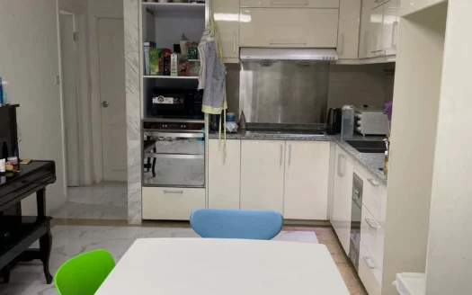 永寧 靚裝村屋出租